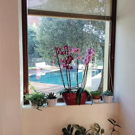 Riviera Ligure Villa *